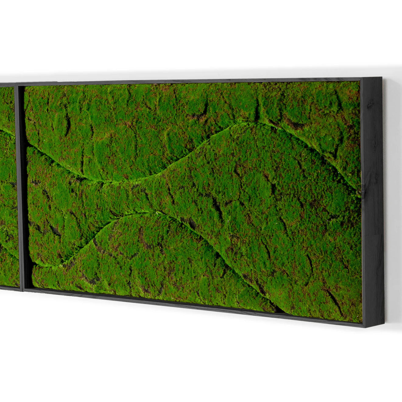 Green Wall, ‘New Wave B', Satin Black Hardwood By Gold Leaf