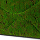 Green Wall, ‘New Wave B', Satin Black Hardwood By Gold Leaf