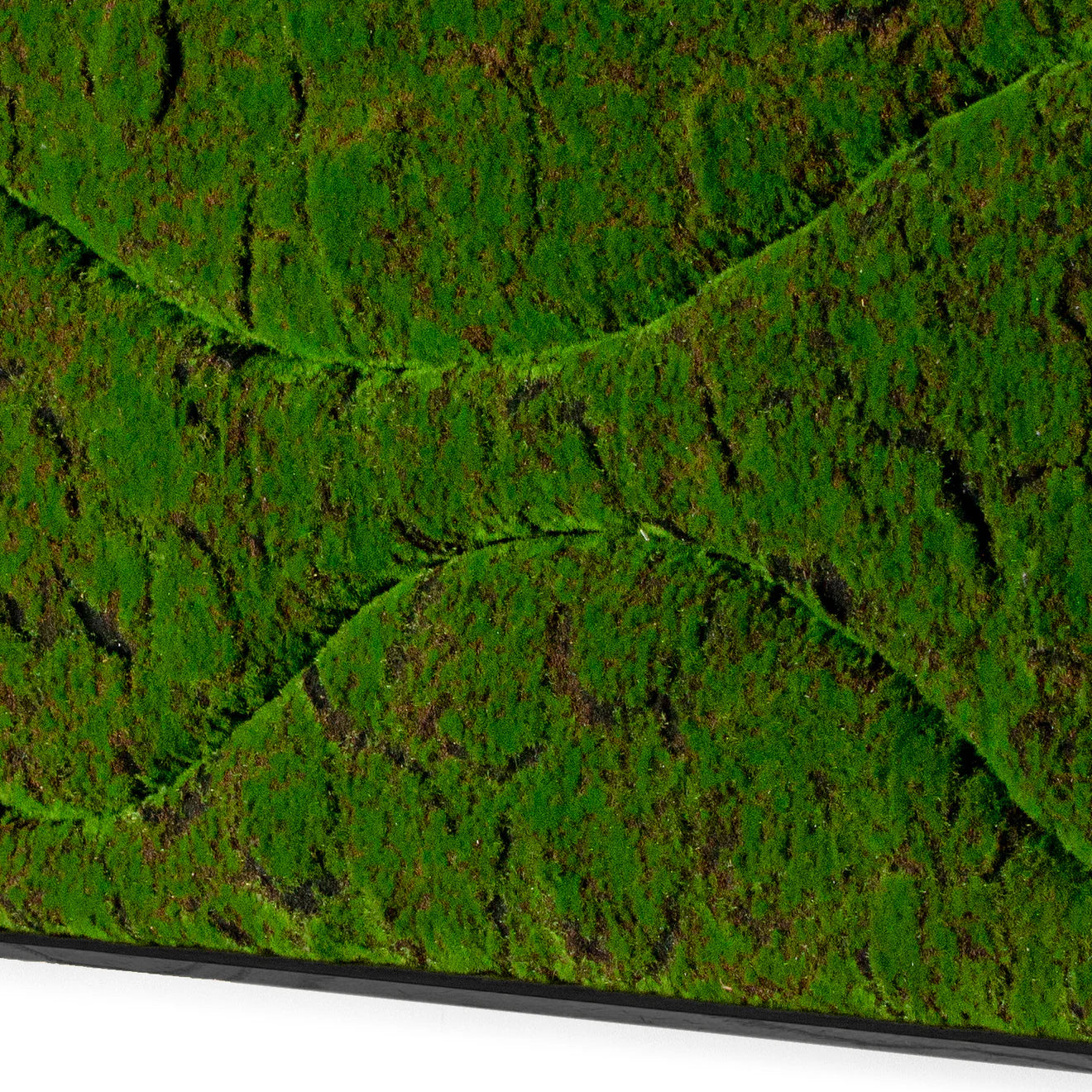 Green Wall, ‘New Wave B', Satin Black Hardwood By Gold Leaf