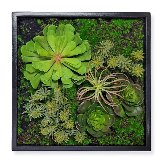 Green Wall, Mini Succulent Mix 3 By Gold Leaf