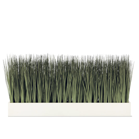 Grass: Cortada Grass in White Table Planter (additional freight required) By Gold Leaf | Planters, Troughs & Cachepots | Modishstore - 1