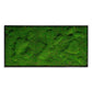 Green Wall, ‘New Moss Rectangle', 50”L By Gold Leaf | Wall Art | Modishstore - 1