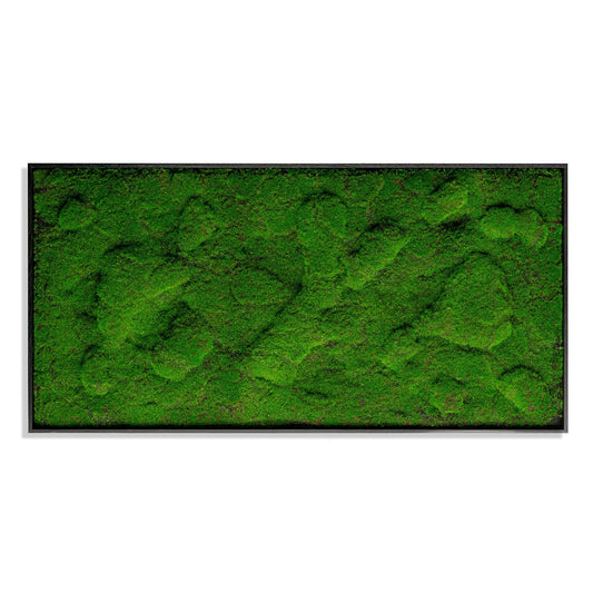 Green Wall, ‘New Moss Rectangle', 50”L By Gold Leaf | Wall Art | Modishstore - 1