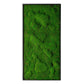 Green Wall, ‘New Moss Rectangle', 50”L By Gold Leaf | Wall Art | Modishstore - 3
