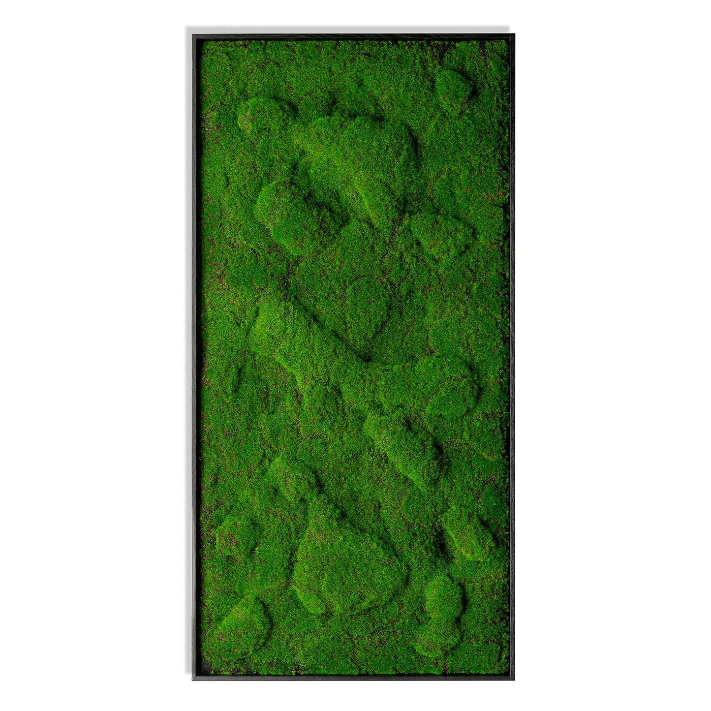 Green Wall, ‘New Moss Rectangle', 50”L By Gold Leaf | Wall Art | Modishstore - 3