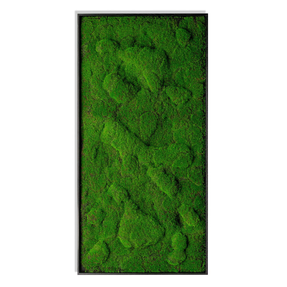 Green Wall, ‘New Moss Rectangle', 50”L By Gold Leaf | Wall Art | Modishstore - 3