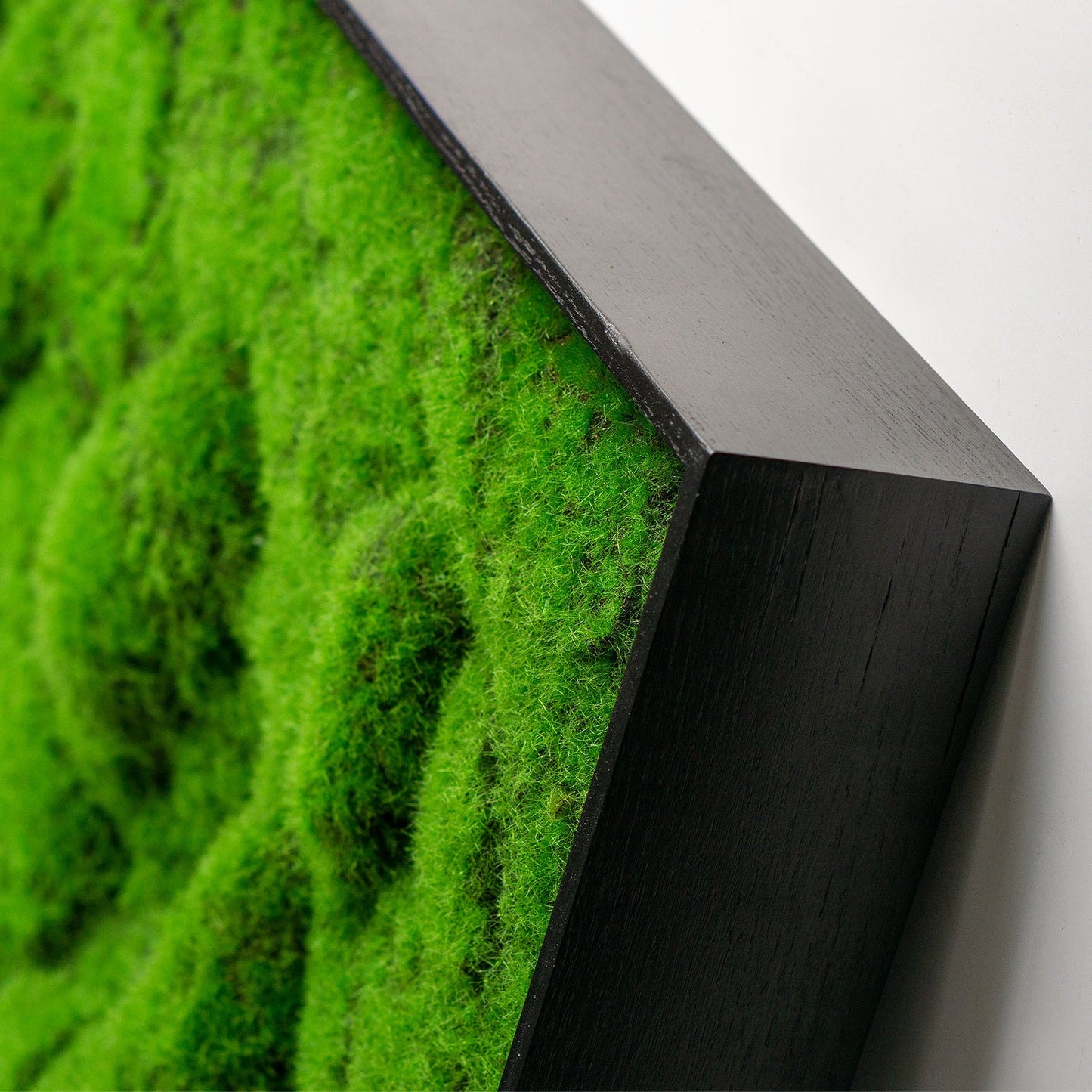 Green Wall, ‘New Moss Rectangle', 50”L By Gold Leaf | Wall Art | Modishstore - 2
