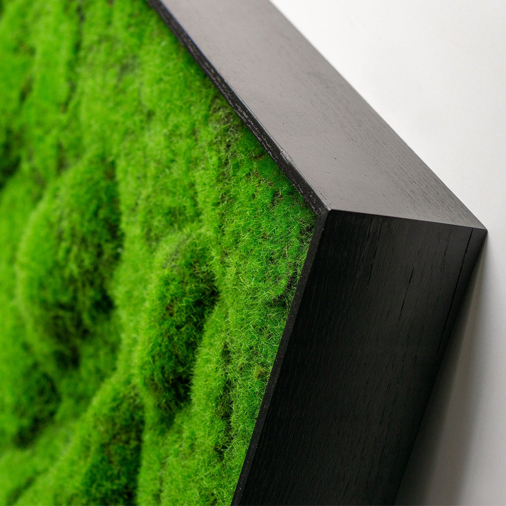 Green Wall, ‘New Moss Rectangle', 50”L By Gold Leaf | Wall Art | Modishstore - 2