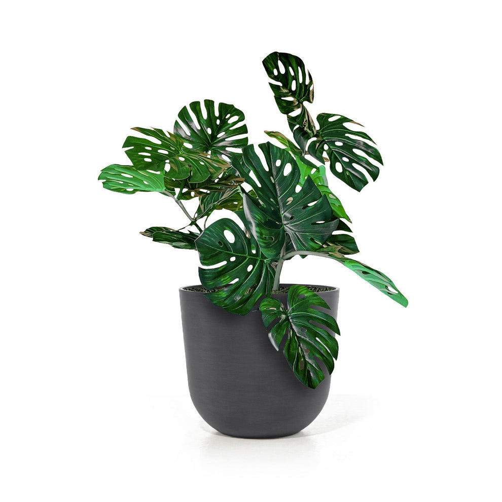 Monstera Vine in Rotunda Planter MD, Grey Matte By Gold Leaf | Planters, Troughs & Cachepots | Modishstore - 4
