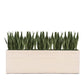 Sansevieria 29"H in Whitewash Rectangle Planter By Gold Leaf | Planters, Troughs & Cachepots | Modishstore - 1