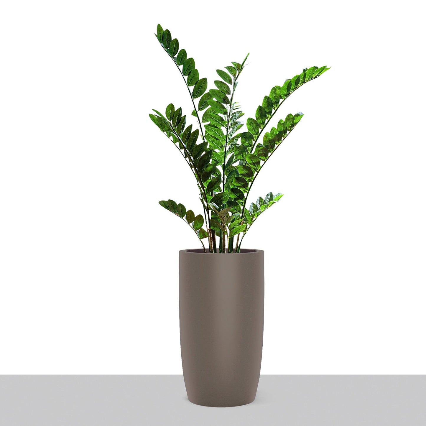ZZ Plant in Barrel Planter SM, Gunmetal Metallic Satin By Gold Leaf | Planters, Troughs & Cachepots | Modishstore - 1