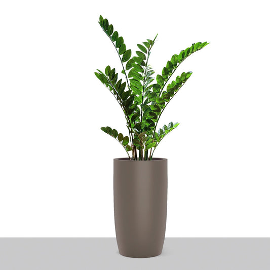 ZZ Plant in Barrel Planter SM, Gunmetal Metallic Satin By Gold Leaf | Planters, Troughs & Cachepots | Modishstore - 1