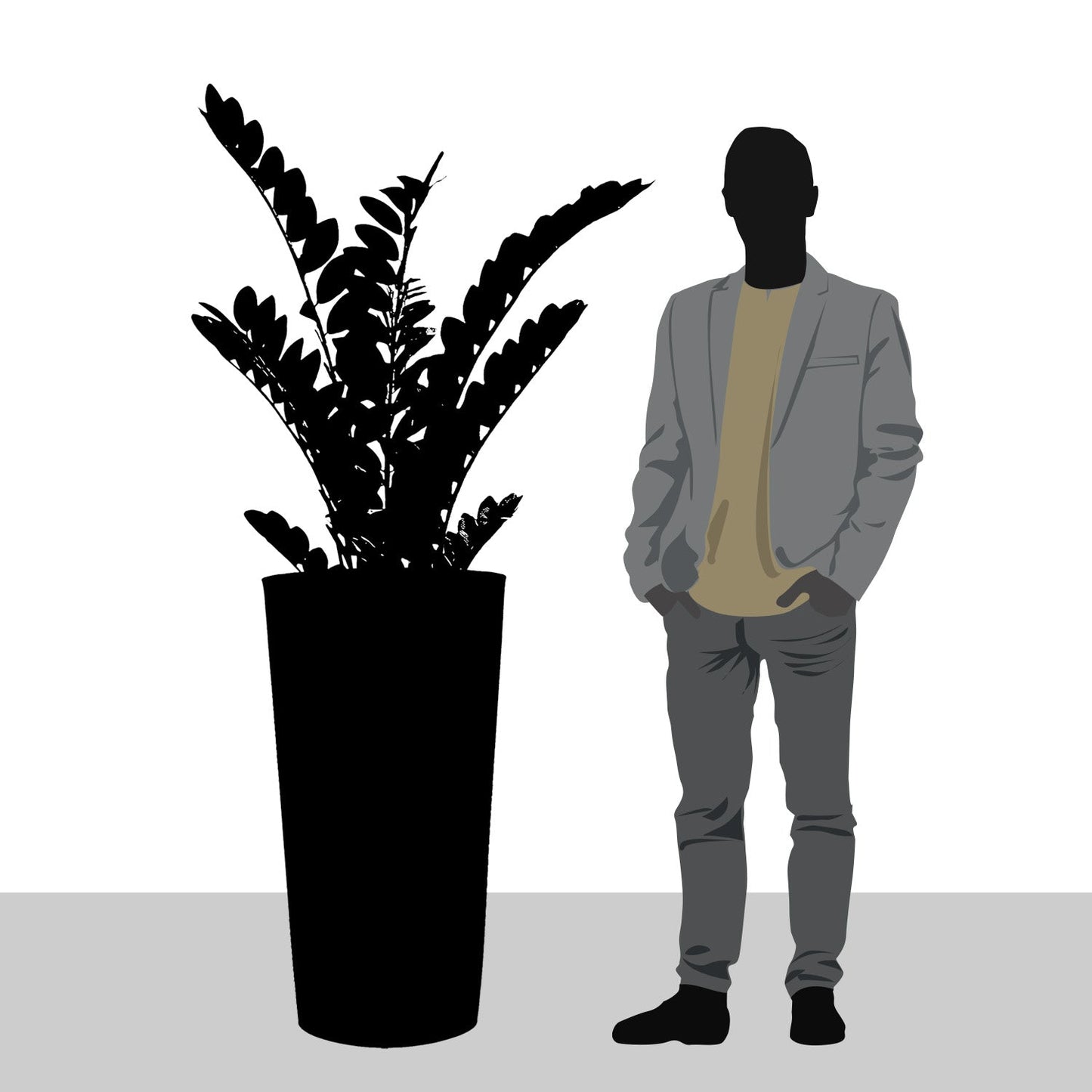 ZZ Plant in Harmony Planter MD, Grey Matte By Gold Leaf | Planters, Troughs & Cachepots | Modishstore - 2