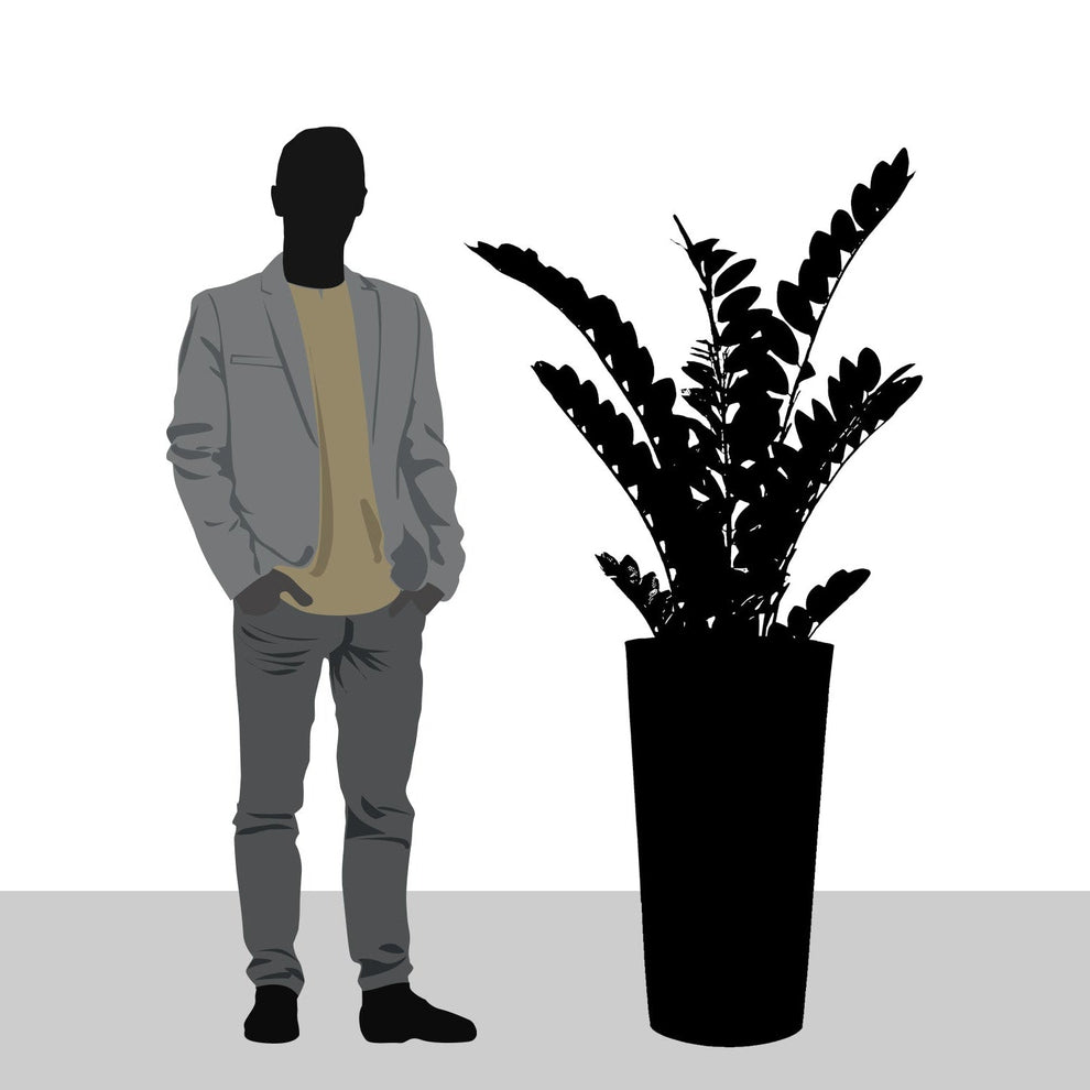 ZZ Plant in Harmony Planter SM, Grey Matte By Gold Leaf | Planters, Troughs & Cachepots | Modishstore - 2