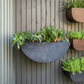 Wall Planters, Iron Indoor/Outdoor Circle & Semi Circle