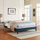 Tessie King Fabric Bed Frame with Squared Tapered Legs By Modway - MOD-5901