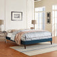 Tessie King Fabric Bed Frame with Squared Tapered Legs By Modway - MOD-5901 | Beds | Modishstore - 18