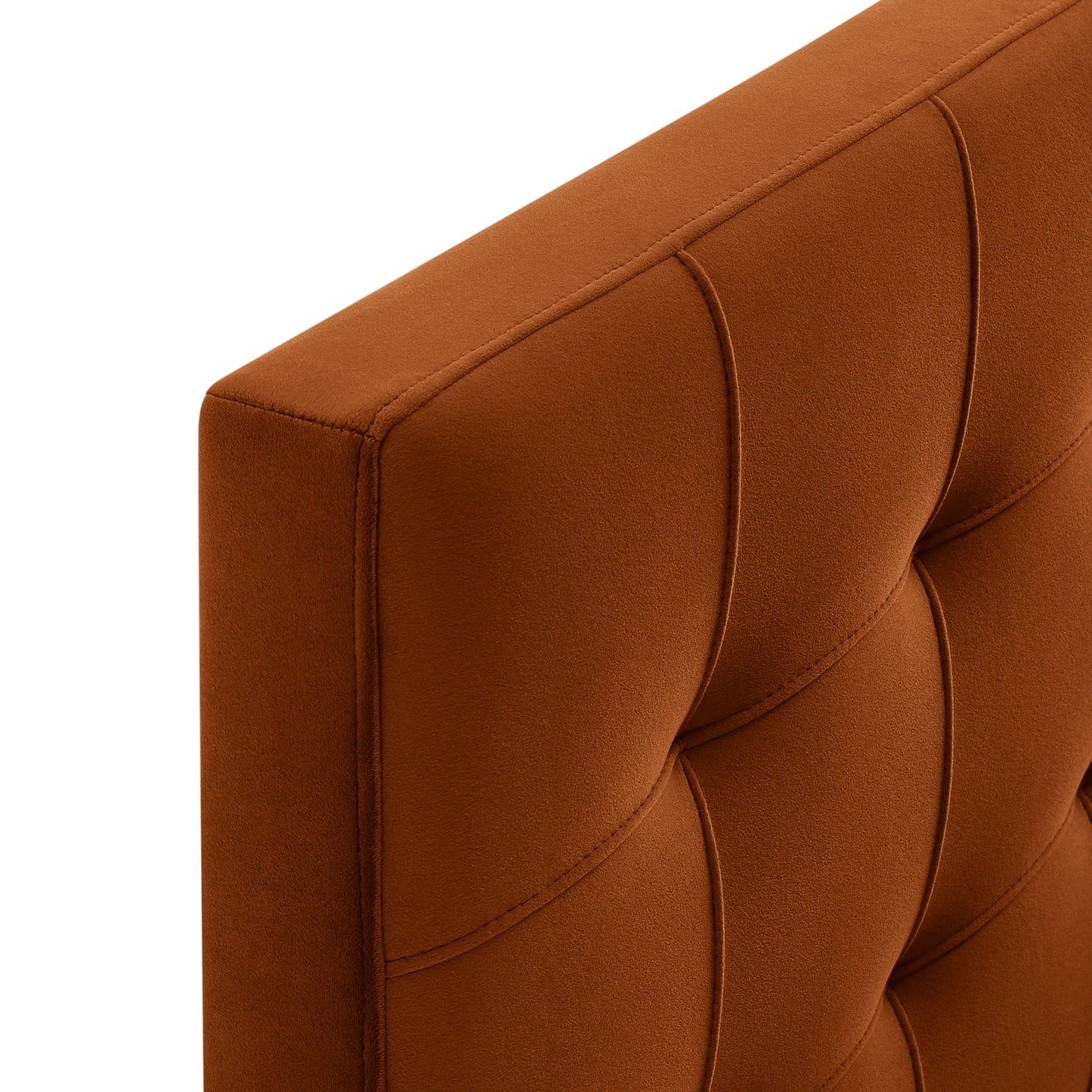 Lily Stain-Resistant Performance Velvet King Size Headboard by Modway