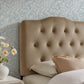 Annabel Stain-Resistant Performance Velvet Twin Headboard by Modway