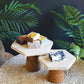 Travertine Display Pedestals W Mango Wood Bases Set Of 2 By Kalalou | Cake & Tiered Stands | Modishstore