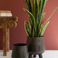 Set Of Two Hand - Hammered Iron Planters With Legs By Kalalou
