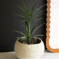 Large Round Paper Mache Urn By Kalalou | Planters, Troughs & Cachepots | Modishstore - 2
