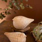 Set Of Two Terracotta Birds By Kalalou