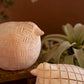 Set Of Two Terracotta Birds By Kalalou