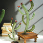 Recycled Iron Cactus Set Of 2 By Kalalou | Sculptures | Modishstore