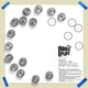 Template Kit - ODET Seed, ~24"x24" By Gold Leaf