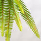 Green Wall, Trailing Mix #1 By Gold Leaf | Wall Art | Modishstore - 12