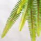 Green Wall, Trailing Mix #2 By Gold Leaf | Wall Art | Modishstore - 9