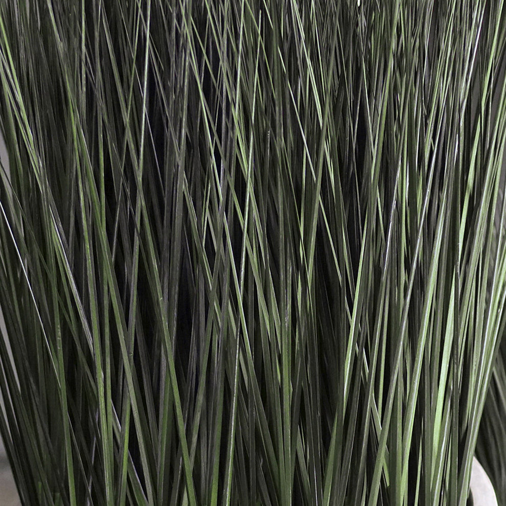 Grass: Cortada Grass in Custom Rectangle Bronze Black Planter By Gold Leaf | Planters, Troughs & Cachepots | Modishstore - 2