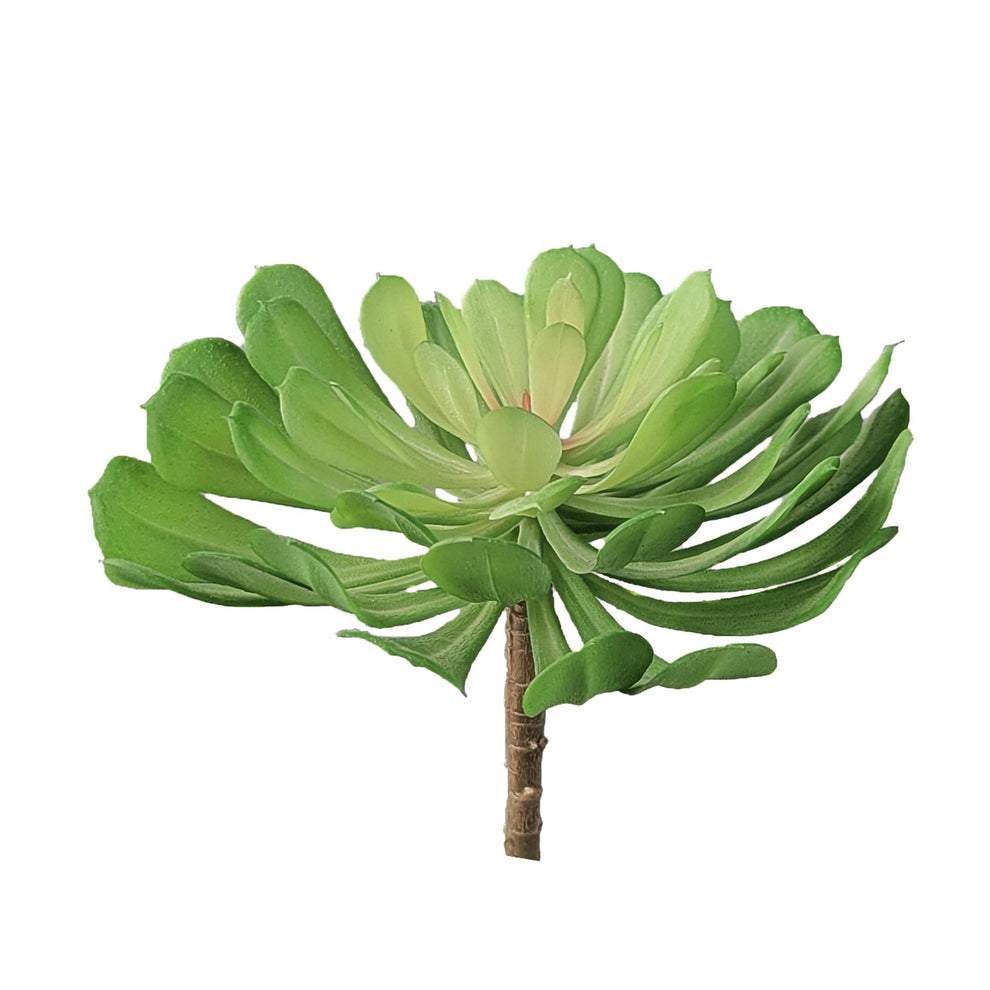 Green Wall, 'Wave Succulent 3' By Gold Leaf | Wall Art | Modishstore - 7