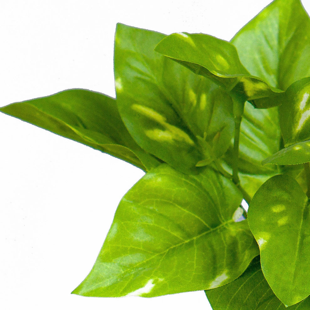 Green Wall, Trailing Mix #2 By Gold Leaf | Wall Art | Modishstore - 7