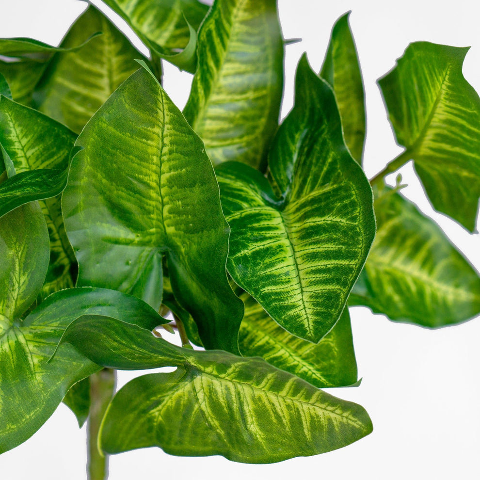 Green Wall, Trailing Mix #1 By Gold Leaf | Wall Art | Modishstore - 10