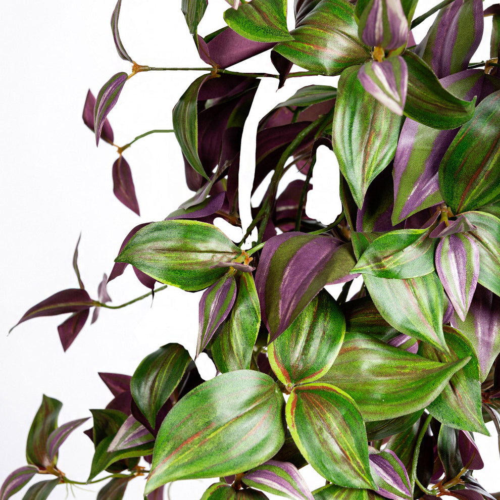 Green Wall, Trailing Mix #1 By Gold Leaf | Wall Art | Modishstore - 6