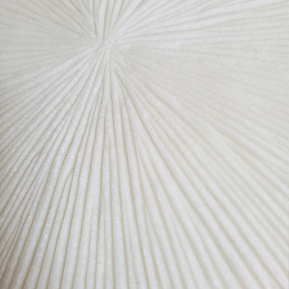 Groove 20.4"SQ, Cream By Gold Leaf | Wall Art | Modishstore - 8