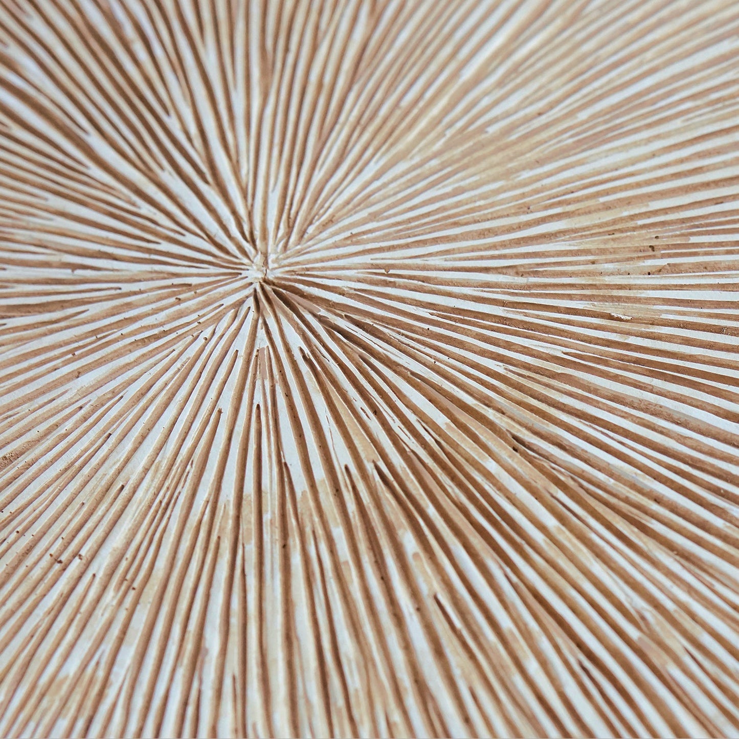Groove 28.5"SQ, Brown Wash By Gold Leaf | Wall Art | Modishstore - 3