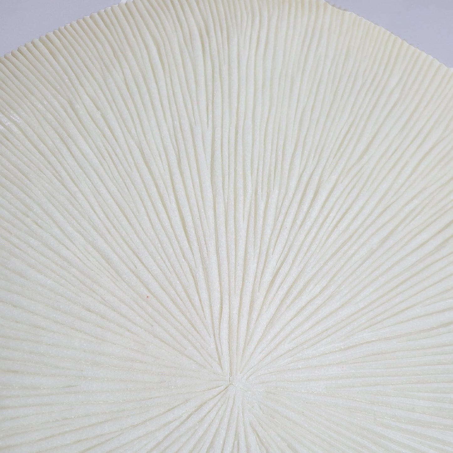Groove 28.5"SQ, Cream By Gold Leaf | Wall Art | Modishstore - 5