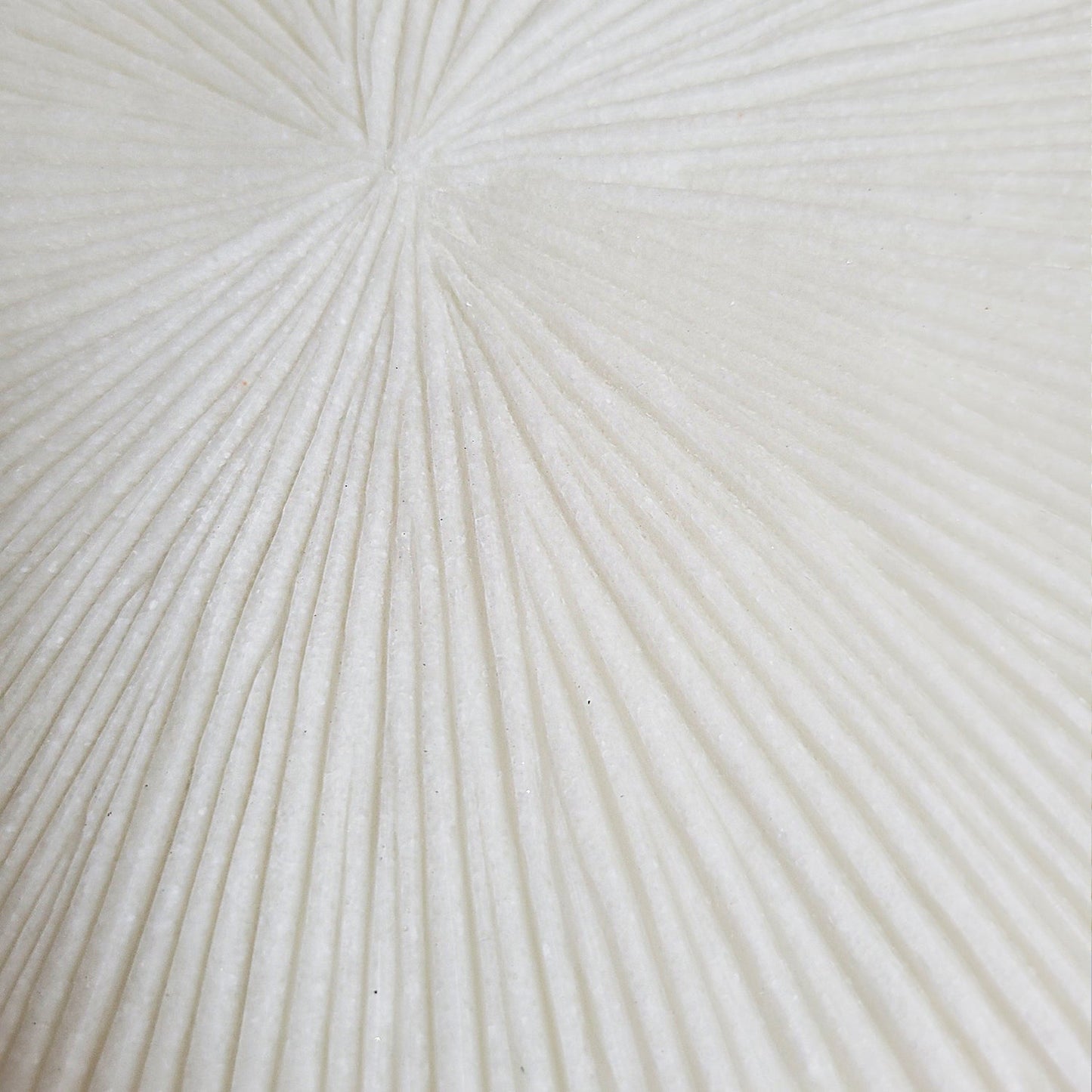 Groove 28.5"SQ, Cream By Gold Leaf | Wall Art | Modishstore - 10