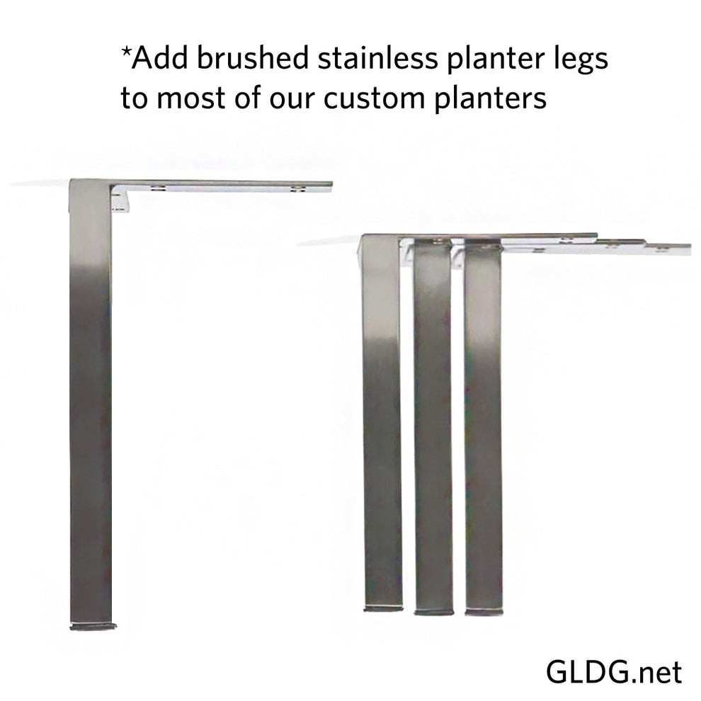 Sansevieria 33"H in Whitewash Rectangle Planter By Gold Leaf | Planters, Troughs & Cachepots | Modishstore - 8