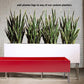 Grass: Cortada Grass in Custom Rectangle Bronze Black Planter By Gold Leaf | Planters, Troughs & Cachepots | Modishstore - 3