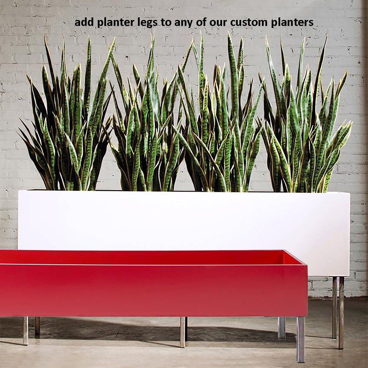 Grass: Cortada Grass in Custom Rectangle Bronze Black Planter By Gold Leaf | Planters, Troughs & Cachepots | Modishstore - 3