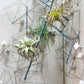 Wall Play™: Pivot, Off-White Set Of 20 By Gold Leaf