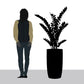ZZ Plant in Barrel Planter SM, Brown DK Satin By Gold Leaf | Planters, Troughs & Cachepots | Modishstore - 2