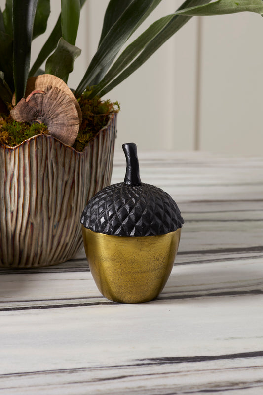 Acorn Stash Lidded Box Set of 2 By Accent Decor | Planters, Troughs & Cachepots | Modishstore - 1