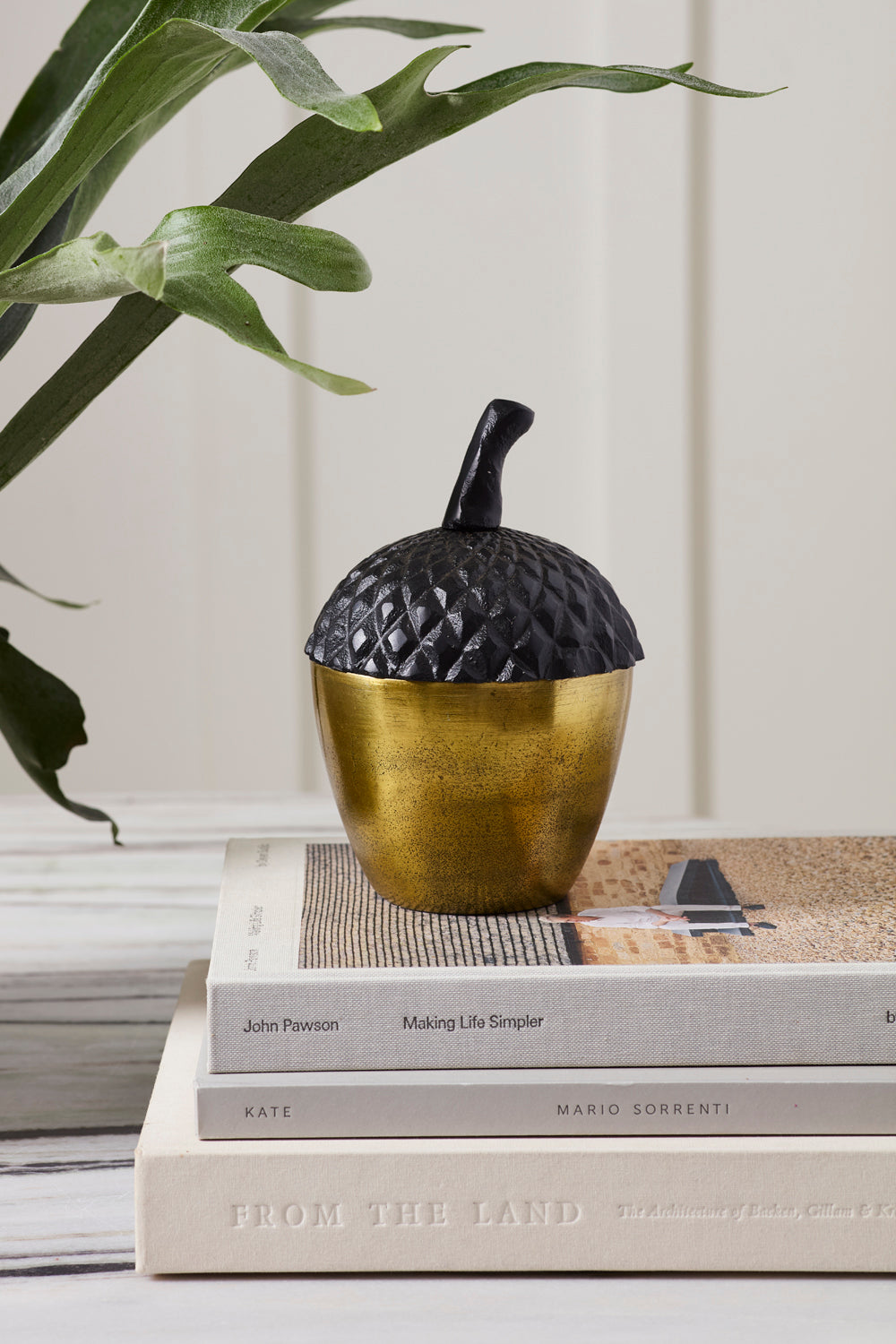 Acorn Stash Lidded Box Set of 2 By Accent Decor | Planters, Troughs & Cachepots | Modishstore - 3
