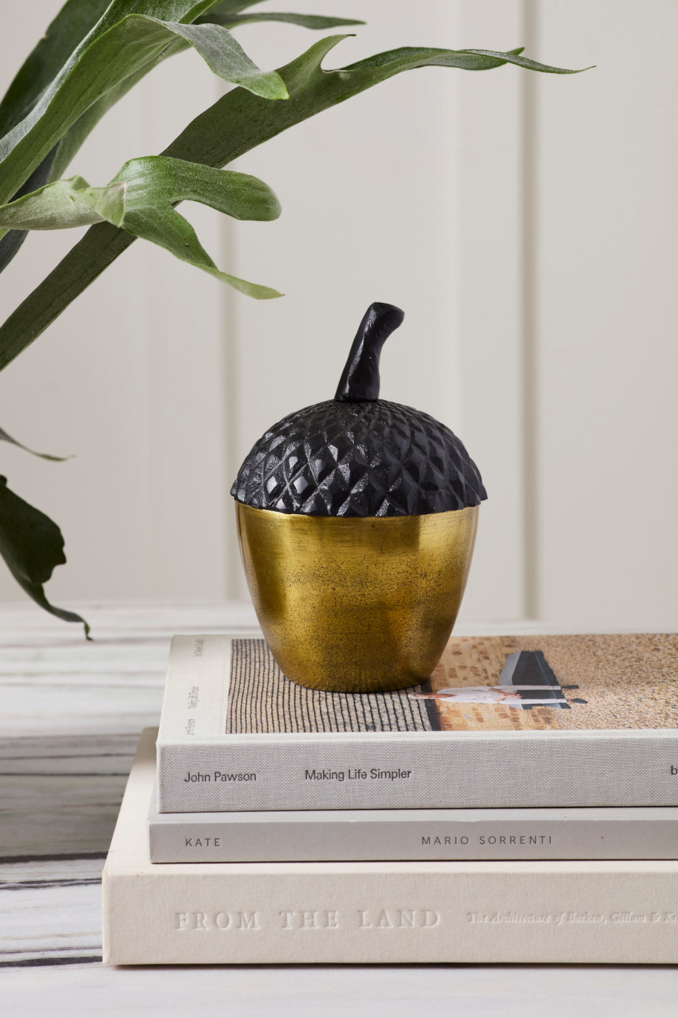 Acorn Stash Lidded Box Set of 2 By Accent Decor | Planters, Troughs & Cachepots | Modishstore - 3