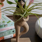 Adira Figurine Set of 4 By Accent Decor | Figurines | Modishstore - 3